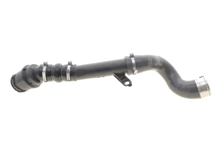 Патрубок інтеркулера Renault Megane III/Scenic III 1.5 dCi 08- RENAULT 144604607R
