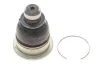 Опора кульова (передня/знизу) Renault Clio/Logan/Megane/Scenic 02- RENAULT 401604793R (фото 1)