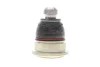 Опора кульова (передня/знизу) Renault Clio/Logan/Megane/Scenic 02- RENAULT 401604793R (фото 4)