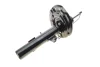 Амортизатор (передній) Renault Megane IV 1.2TCe/1.5/1.6dCi 16- RENAULT 543022329R (фото 7)
