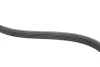 Комплект ременя генератора Renault Kangoo 1.4i/1.6i 97- (5PK1100) RENAULT 7701477522 (фото 4)