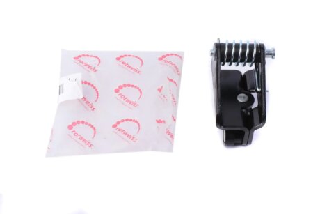 Ролик дверей (бічних/средний) Renault Kangoo 97-07 (R) ROTWEISS RWS1738