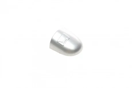 Заглушка ручки дверей (R) Renault Laguna/Megane/Scenic 03-09 (сіра) ROTWEISS RWS1969