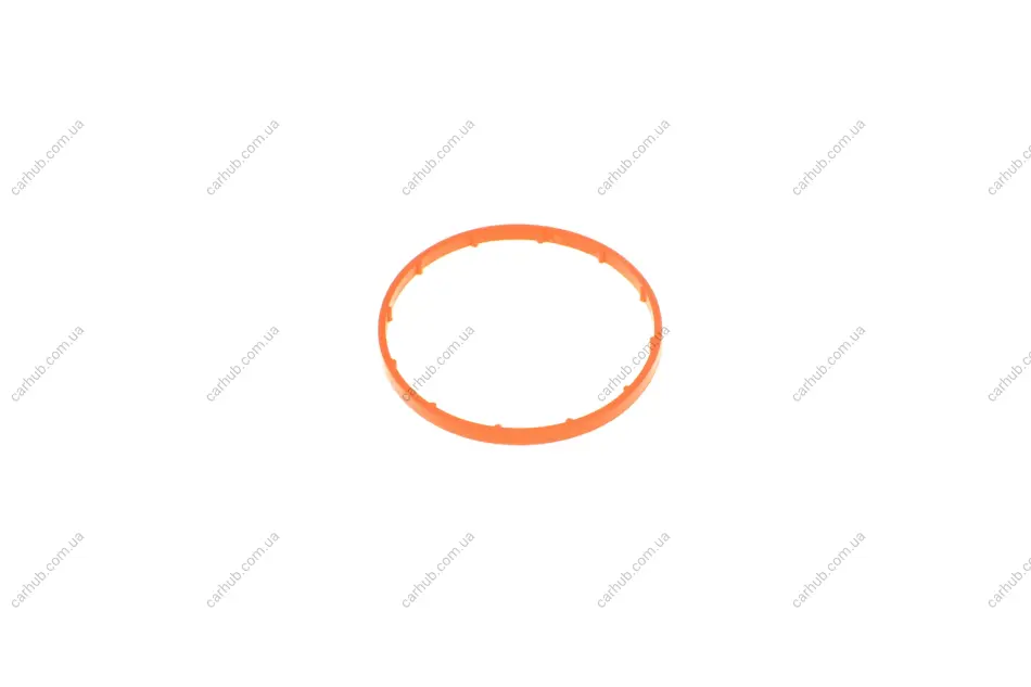 Прокладка насосу вакуумного Citroen Berlingo/Jumpy/Peugeot Partner/Expert 2.0/2.2 HDi 02- ROTWEISS RWS2525 (фото 1)