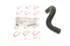 Патрубок радіатора Renault Kangoo 1.5 dCi 01- (теплообмінника) ROTWEISS RWS2566 (фото 1)
