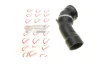 Патрубок інтеркулера BMW 5 (E60)/6 (E63) 04-10 M57 ROTWEISS RWS2679 (фото 1)