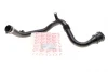 Патрубок інтеркулера Renault Fluence/ Scenic III/Megane III 1.5dCi 09- ROTWEISS RWS2694 (фото 1)