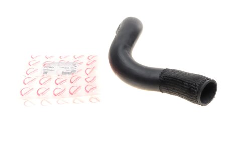 Патрубок интеркулера Ford Transit 2.2 TDCi 14- (коллектор-интеркуллер) ROTWEISS RWS2737