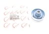 Фото 1 - ролик генератора Ford Transit 2.2 TDCI 2011- (паразитний) ROTWEISS RWS3313 Ролик генератора Ford Transit 2.2 TDCI 2011- (паразитний) ROTWEISS RWS3313 (фото 1)