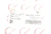 Патрубок системи охолодження Renault Clio 1.4 98-05 ROTWEISS RWS3344 (фото 2)