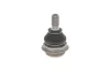Опора кульова (передня/знизу) Citroen Berlingo/C4/Peugeot Partner/308 07- RTS 93-00759 (фото 5)