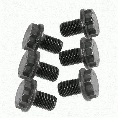 Болти маховика (к-кт 6 шт) Audi A4/A5/A6/A7/Q5/Porsche Macan 1.8-3.6 07- SACHS 1874 000 033 (фото 1)