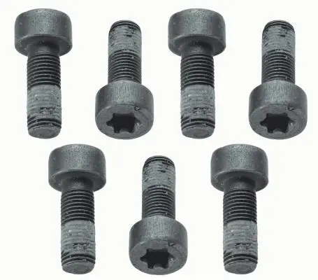 Комплект болтів маховика (M9x1мм довжина24mm) SACHS 1874 000 040 (фото 1)