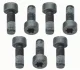Комплект болтів маховика (M9x1мм довжина24mm) SACHS 1874 000 040 (фото 1)
