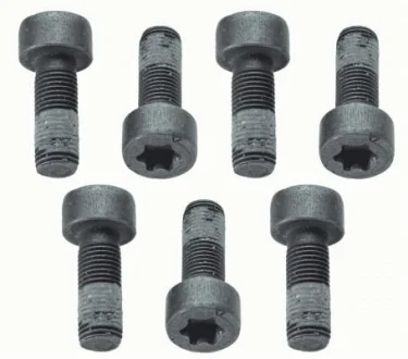 Комплект болтів маховика (M9x1мм довжина24mm) SACHS 1874 000 040