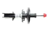 Амортизатор (передній) Renault Kangoo 08- R15/16 (maxi baza) (цапфа 36mm) (d22mm D51mm) замінено на 350 702 SACHS 315 297 (фото 4)