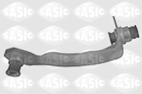 Кронштейн підвіски двигуна передн прав RENAULT GRAND SCENIC II, MEGANE II, SCENIC II 1.4-2.0 09.02- SASIC 4005521 (фото 1)