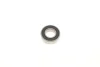 Підшипник (17x35x10) SKF 6003-2RSH/C3 (фото 3)