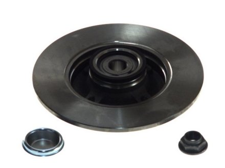 Диск тормозной (задний) Citroen C4/Peugeot 307 05- (249x9) (+ABS) (с подшипником)) SKF VKBD 1011