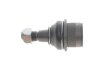 Фото 3 - опора шаровая (передняя/снизу)) MB Sprinter/VW Crafter 06- SKF VKDS 318021 Опора шаровая (передняя/снизу)) MB Sprinter/VW Crafter 06- SKF VKDS 318021 (фото 3)