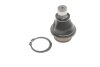 Фото 1 - опора кульова (передня/знизу) Nissan Navara/Pathfinder 04-14 SKF VKDS 812002 Опора кульова (передня/знизу) Nissan Navara/Pathfinder 04-14 SKF VKDS 812002 (фото 1)