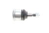 Опора шаровая (передняя/снизу)) Honda Accord VII 2.0/2.2D/2.4 03-08 SKF VKDS 813004 (фото 4)