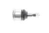 Опора кульова (передня/знизу) Honda Accord VII 2.0/2.2D/2.4 03-08 SKF VKDS 813004 (фото 4)