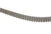 Комплект ГРМ VW Caddy/Sharan/Seat Ibiza 1.9TDI/SDI 95-06 (25x137) SKF VKMA 01019 (фото 2)