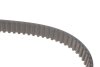 Фото 6 - комплект ГРМ Fiat Doblo 1.6D Multijet 10- VKMA 02199 SKF VKMA02199 Комплект ГРМ Fiat Doblo 1.6D Multijet 10- VKMA 02199 SKF VKMA02199 (фото 6)