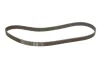 Комплект ГРМ (ремінь + ролик) FIAT BRAVA, BRAVO I, DOBLO, MAREA, MULTIPLA, PALIO, SIENA, STILO LANCIA DEDRA, DELTA II, LYBRA 1.6-1.6LPG 10.95- SKF VKMA 02242 (фото 2)