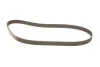 Комплект ГРМ (ремінь + ролик) CITROEN BERLINGO, BERLINGO MULTISPACE, C-ELYSEE, C2, C3 I, C3 III, C3 PLURIEL, C4, C4 I, C4 II, XSARA, XSARA PICASSO PEUGEOT 1007, 206, 207 1.6/1.6ALK/1.6LPG 07.00- SKF VKMA 03256 (фото 2)