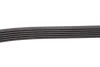 Комплект ременя генератора Skoda Fabia/VW Polo 1.0/1.6 14- (6PK989) SKF VKMA 31276 (фото 6)