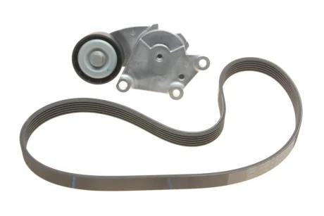 Комплект ременя генератора Ford Transit Connect 1.5/1.6D 10- (6PK966) SKF VKMA 33222