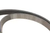 Комплект поликлинових ременів (з роликами) CHEVROLET MALIBU OPEL INSIGNIA A, INSIGNIA A COUNTRY 2.0D 07.08- SKF VKMA 35359 (фото 5)