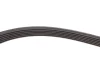 Комплект ременя генератора Renault Kangoo 1.5dCi 08- (6PK1199) SKF VKMA 36055 (фото 4)