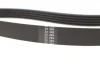 Комплект поликлинових ременів (з роликами) NISSAN ALMERA II, KUBISTAR, MICRA III RENAULT CLIO II, GRAND SCENIC II, KANGOO, KANGOO EXPRESS, LATITUDE, MEGANE II, MODUS, SCENIC II 1.4-1.6LPG 09.98- SKF VKMA 36058 (фото 3)