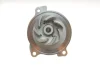 Комплект ГРМ (ремінь + ролик + водяний насос) AUDI A6 C4 VW LT 28-35 II, LT 28-46 II, TRANSPORTER T4 2.4D/2.5D 07.90-07.06 SKF VKMC 01270 (фото 9)