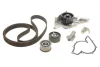 Комплект ГРМ + помпа Audi A4/A6/ VW Passat 2.4/2.8 V6, 95-05 (30x253z) SKF VKMC 01903-1 (фото 1)