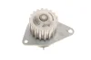 Комплект ГРМ + помпа Citroen C4/Peugeot 307 1.4 16V 03- (25.4x135z) SKF VKMC 03258 (фото 6)