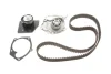 Комплект ГРМ (ремінь + ролик + водяний насос) RENAULT GRAND SCENIC III, LAGUNA II, MEGANE, MEGANE II, MEGANE III, SCENIC II, SCENIC III SUZUKI GRAND VITARA II 1.9D 11.02-09.16 SKF VKMC 06008 (фото 1)