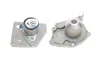 Комплект ГРМ (ремінь + ролик + водяний насос) NISSAN PRIMERA RENAULT GRAND SCENIC II, GRAND SCENIC III, LAGUNA II, MEGANE II, MEGANE III, SCENIC II, SCENIC III SUZUKI GRAND VITARA II 1.9D 03.01- SKF VKMC 06129 (фото 8)