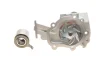 Комплект ГРМ (ремінь + ролик + водяний насос) CHEVROLET AVEO / KALOS, MATIZ, SPARK DAEWOO MATIZ, TICO FSO MATIZ 0.8/0.8LPG/1.2 02.95- SKF VKMC 90001 (фото 4)