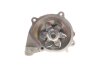 Комплект ГРМ, пас+ролик+помпа SKF VKMC949201 (фото 12)