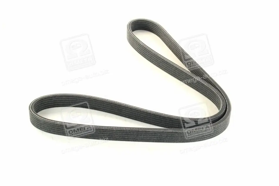 Поліклиновий ремінь (6PK1195) AUDI A3, TT FORD GALAXY I, GALAXY MK I SEAT ALHAMBRA, CORDOBA, CORDOBA VARIO, IBIZA II, LEON, TOLEDO II SKODA OCTAVIA I VW BORA, BORA I 1.6-2.0LPG 03.95-08.15 SKF VKMV 6DK1195 (фото 1)