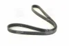 Поліклиновий ремінь (6PK1195) AUDI A3, TT FORD GALAXY I, GALAXY MK I SEAT ALHAMBRA, CORDOBA, CORDOBA VARIO, IBIZA II, LEON, TOLEDO II SKODA OCTAVIA I VW BORA, BORA I 1.6-2.0LPG 03.95-08.15 SKF VKMV 6DK1195
