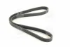 Поліклиновий ремінь (6PK1195) AUDI A3, TT FORD GALAXY I, GALAXY MK I SEAT ALHAMBRA, CORDOBA, CORDOBA VARIO, IBIZA II, LEON, TOLEDO II SKODA OCTAVIA I VW BORA, BORA I 1.6-2.0LPG 03.95-08.15 SKF VKMV 6DK1195 (фото 3)