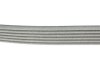 Доріжковий пас SKF VKMV6PK2196 (фото 3)