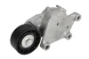 Натяжник ременя генератора Citroen/Peugeot/Ford 1.4HDi/1.6TDCi 01- SNR SNR NTN GA359.00 (фото 1)