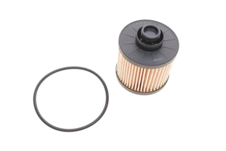 Фільтр паливний Citroen Berlingo/C4/Peugeot 308 1.6/2.0HDI 13- SOLGY Solgy 102070