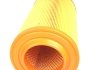 Фільтр повітряний Fiat Ducato 2.2/2.3/3.0 JTD/HDI 06- Solgy 103017 (фото 3)